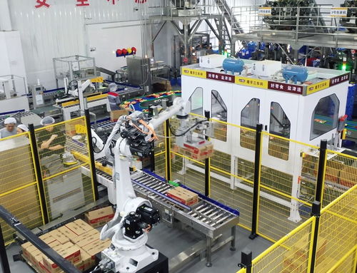 鹽津鋪子董事長張學武 以匠心與遠見，鑄就中國卓越食品制造企業